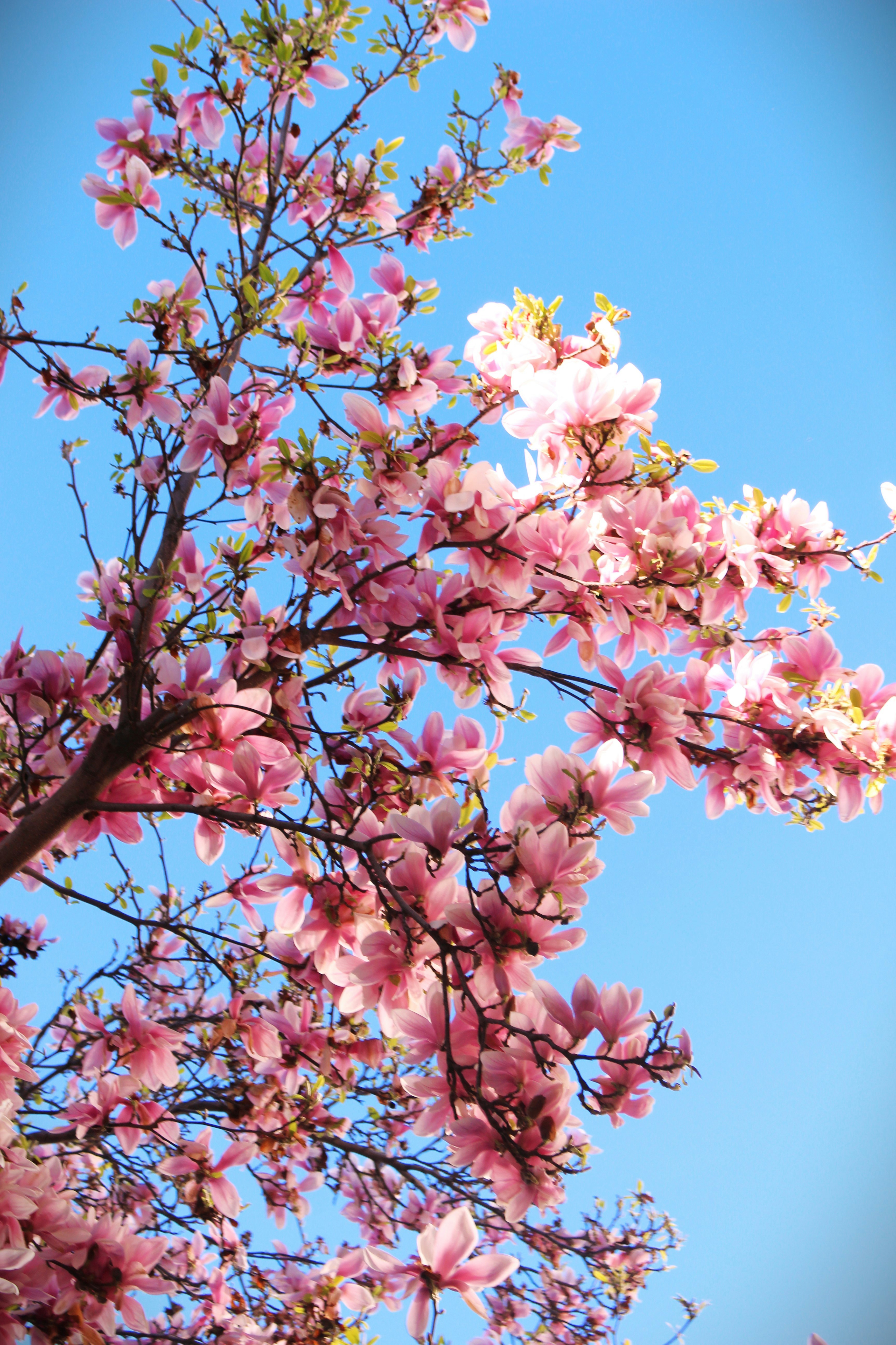 Photo by marjorylucabaxter