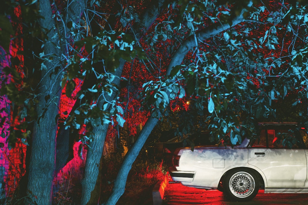 a white car parked in front of a tree