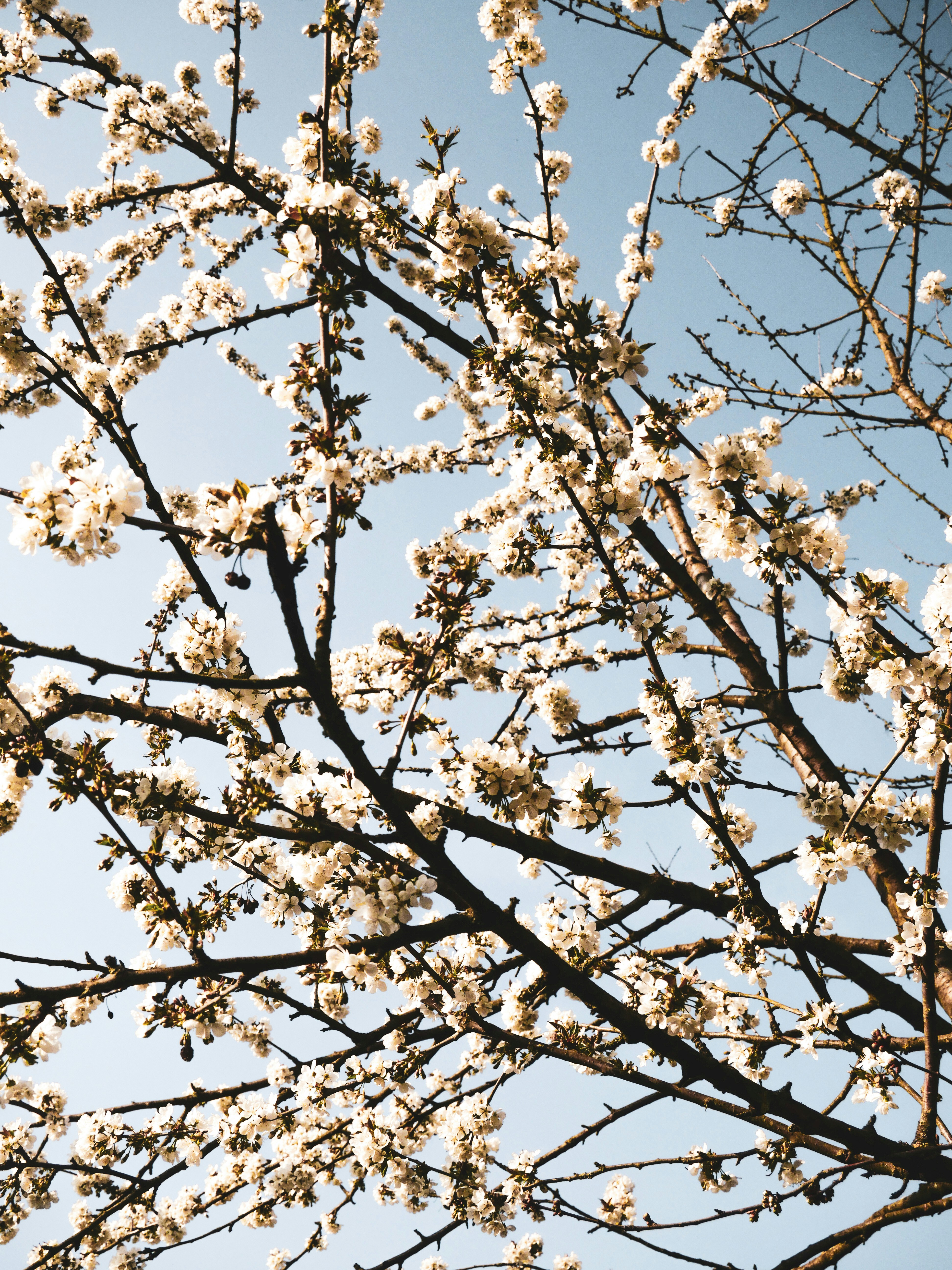 Photo by paulinaherpel