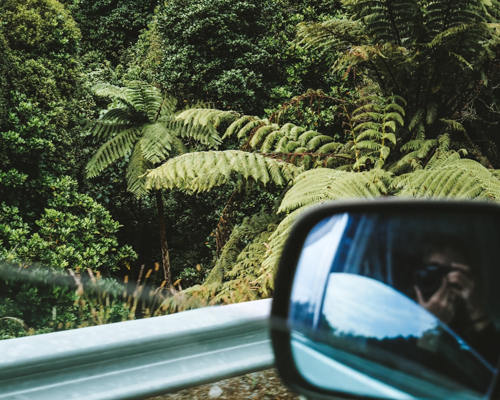 a car's side view mirror reflecting a lush green forest