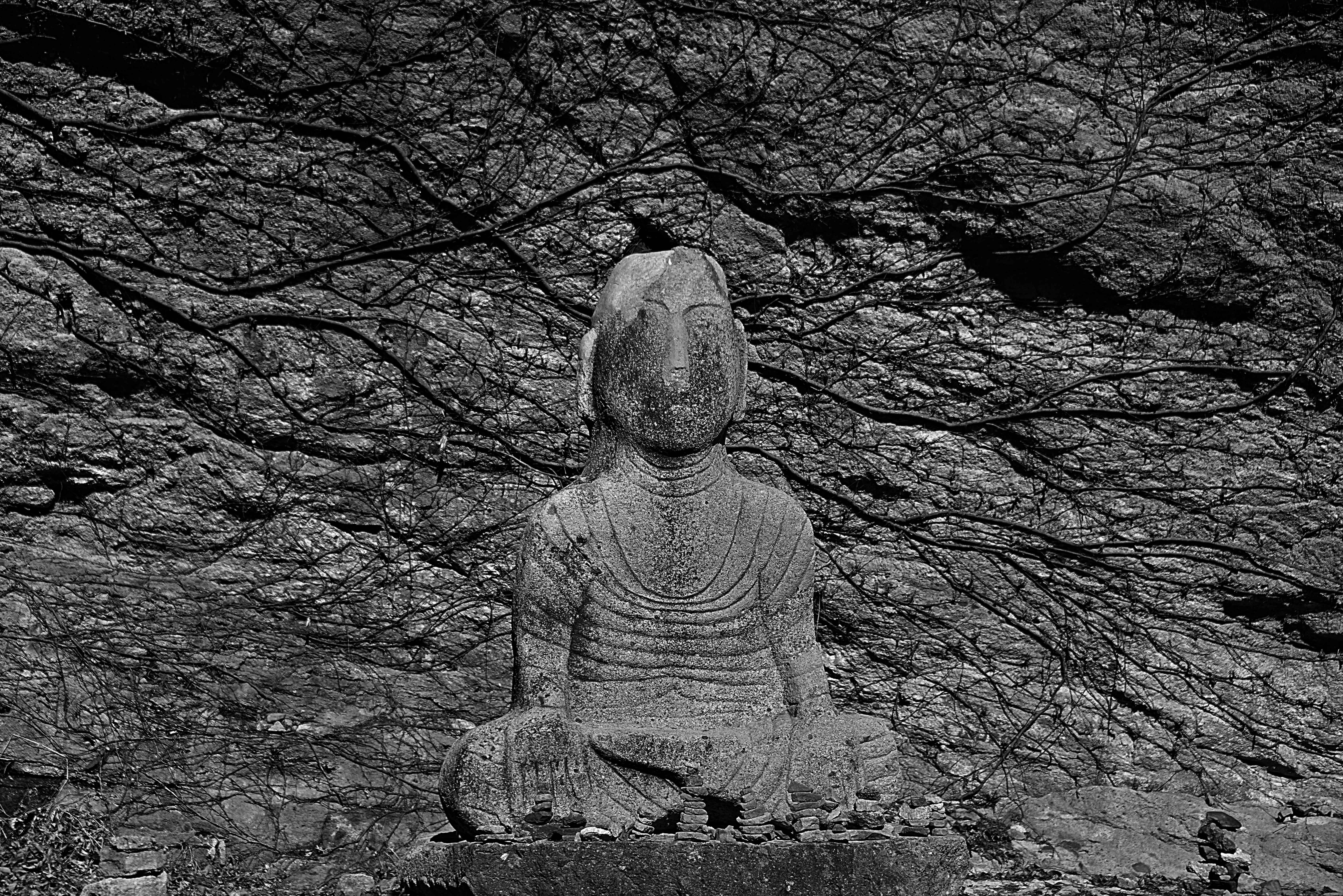 a buddha statue sitting in front of a tree