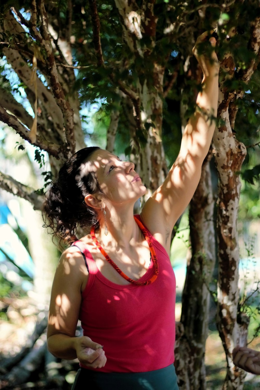 a woman reaching up into a tree to reach a frisbee