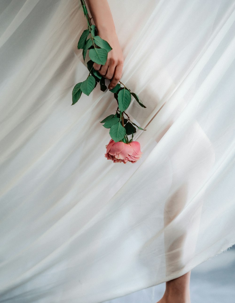 a woman in a white dress holding a rose