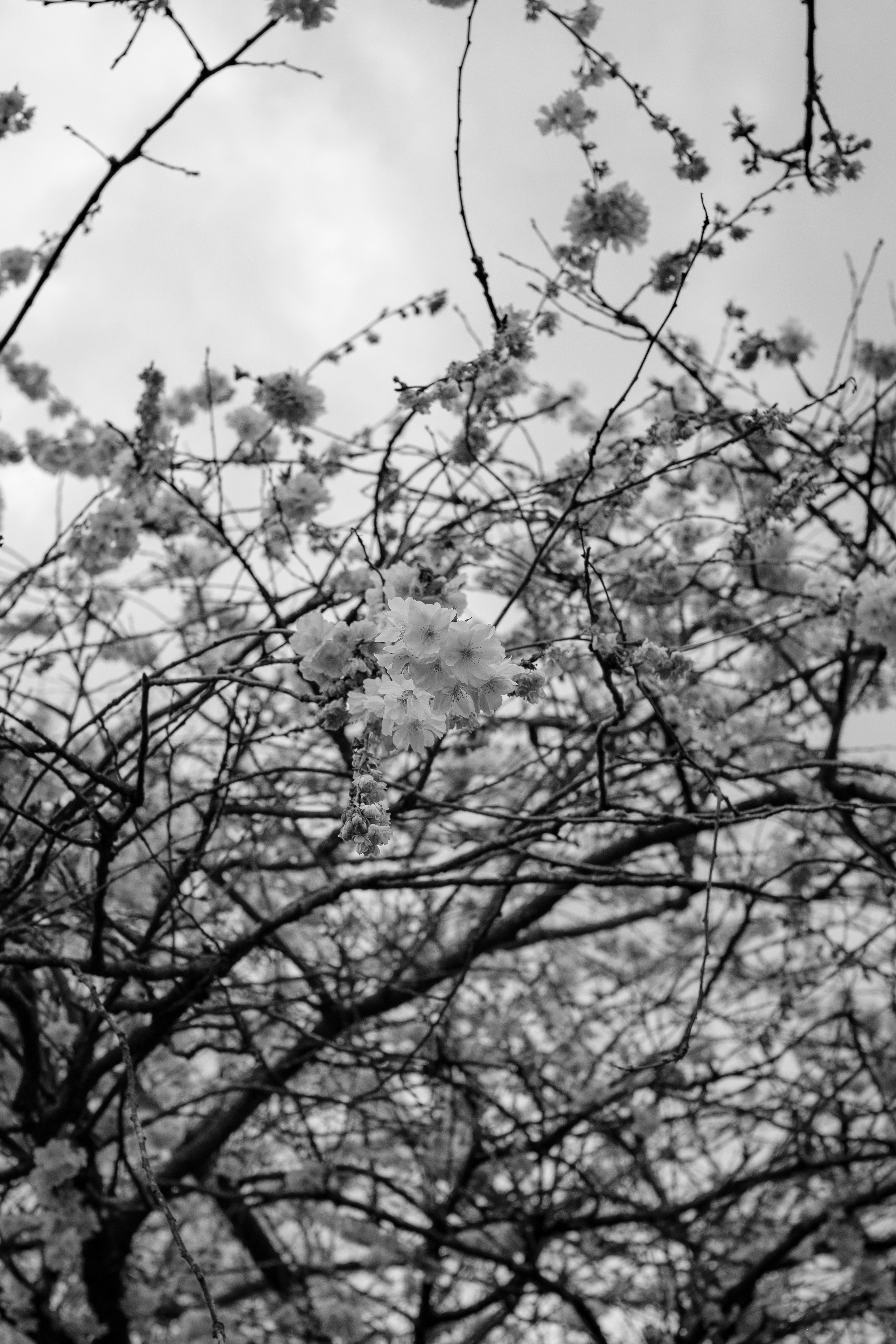 Photo by haberdoedas2