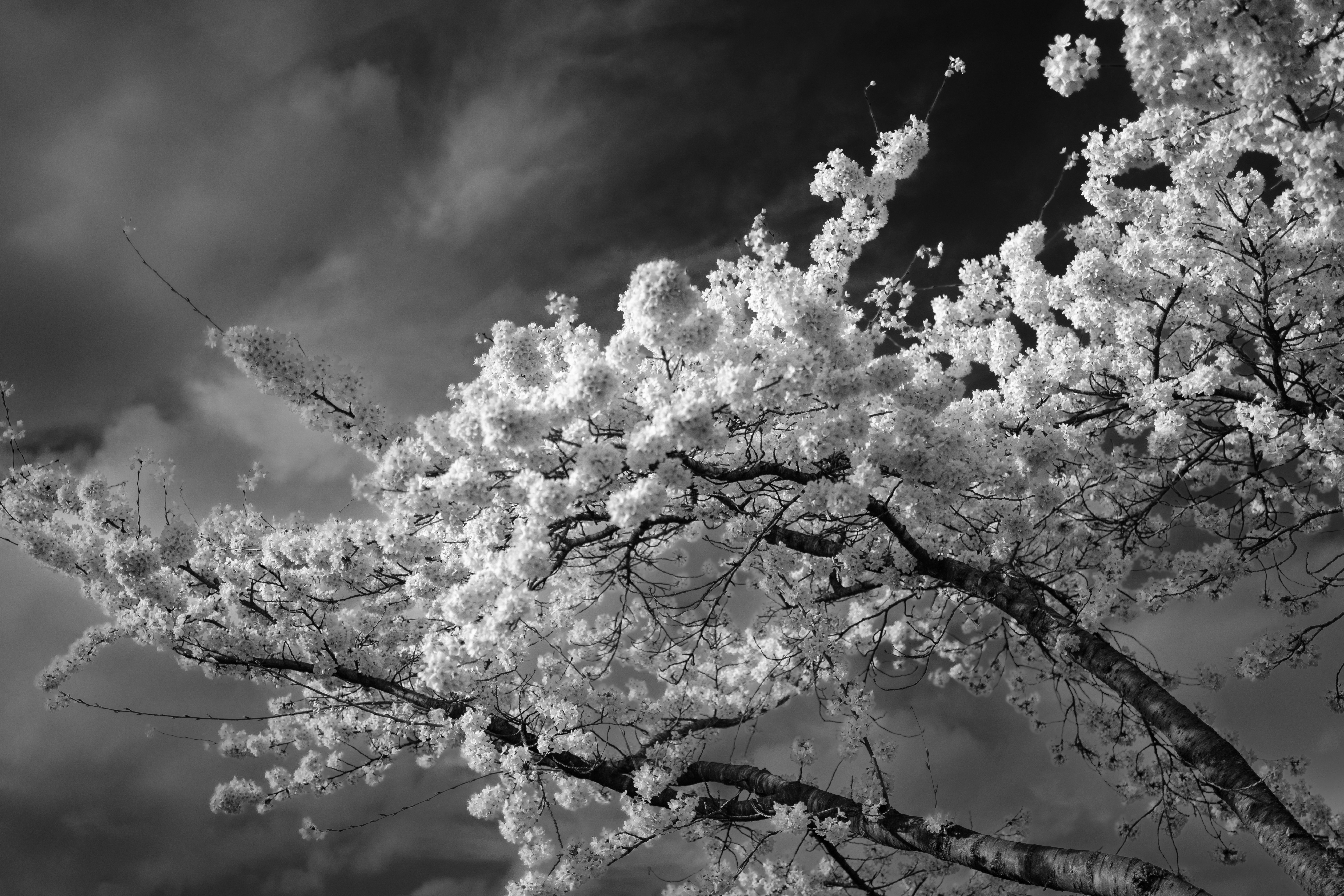 Photo by haberdoedas2