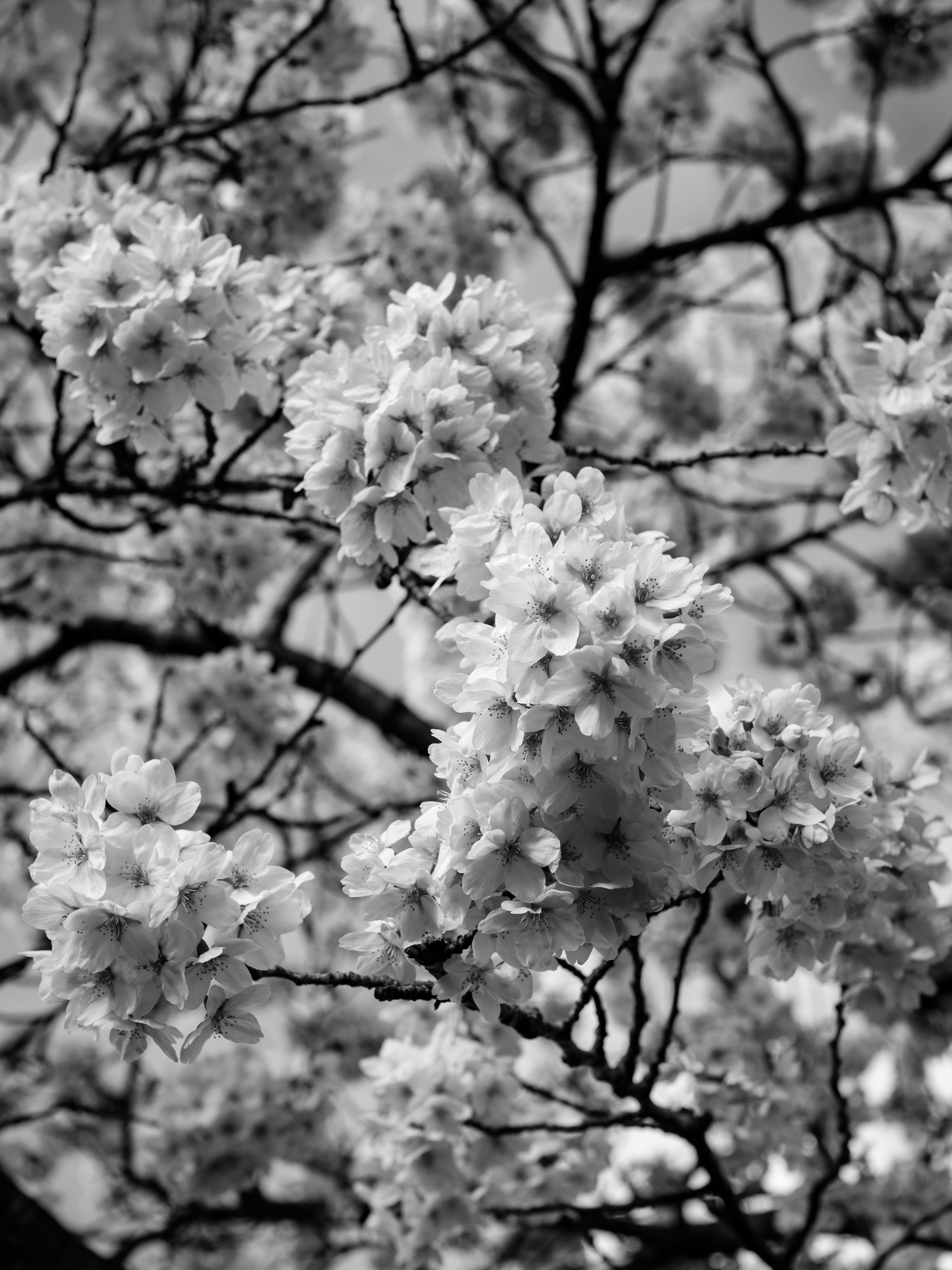 Photo by haberdoedas2