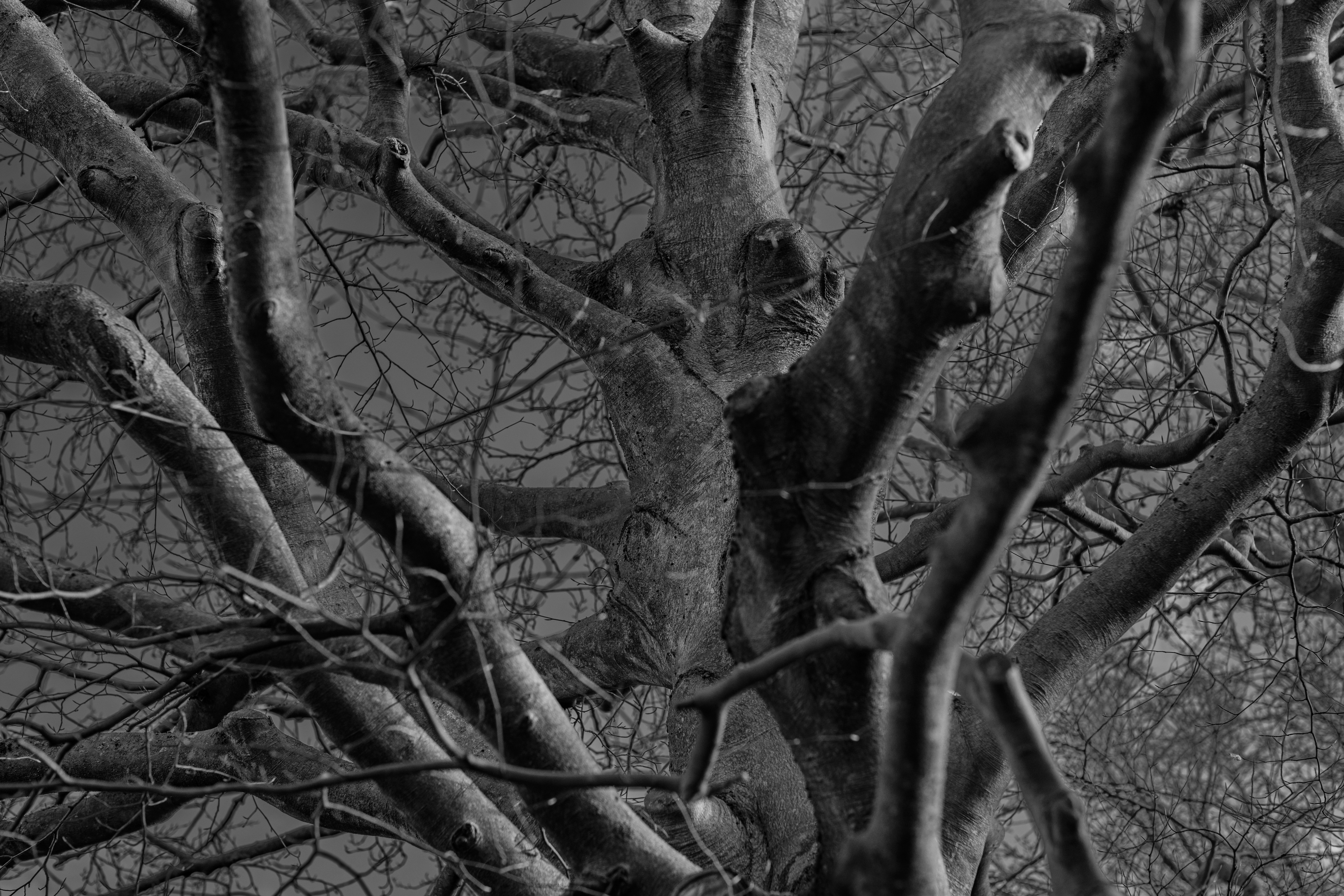 Photo by haberdoedas2