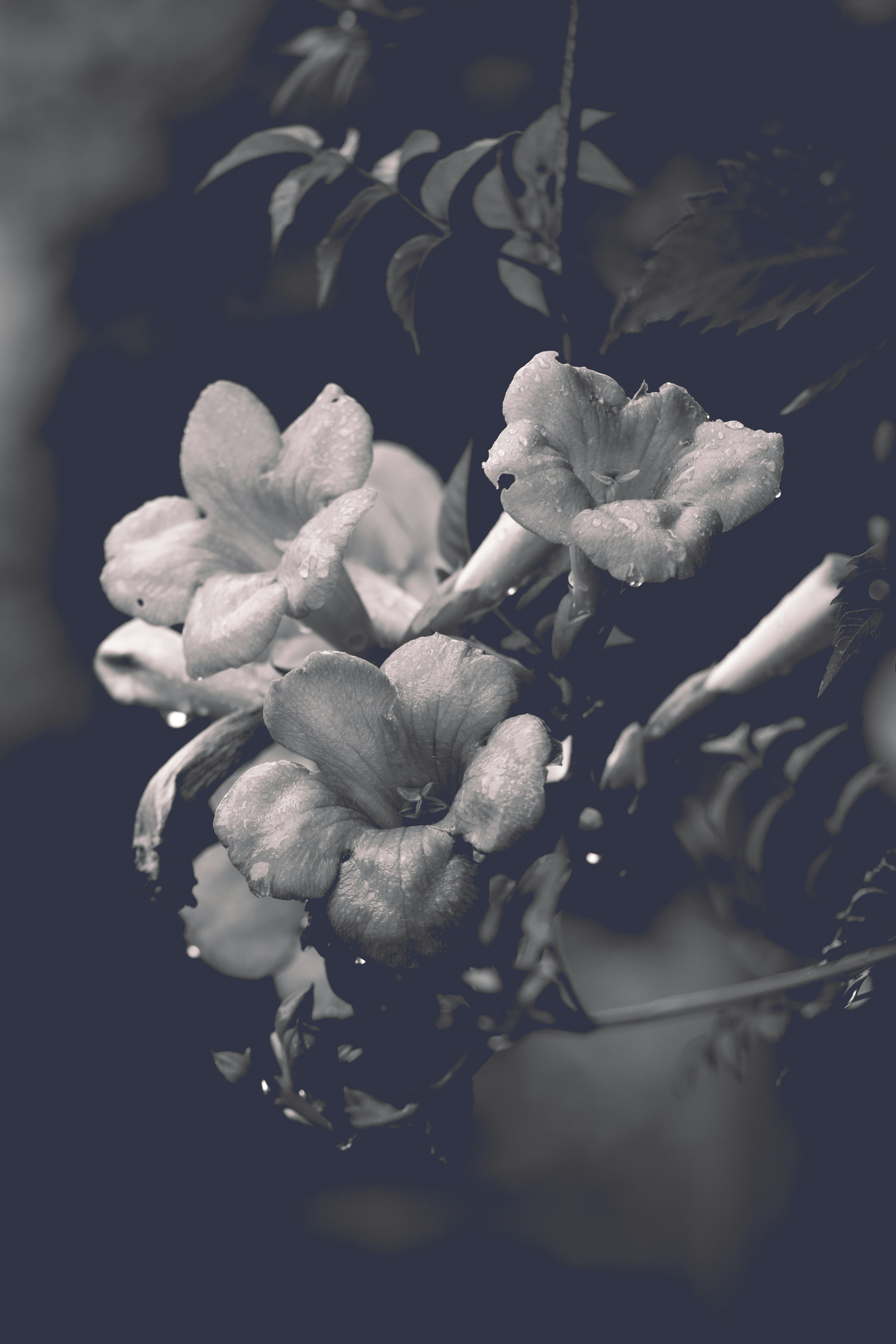 Photo by haberdoedas2