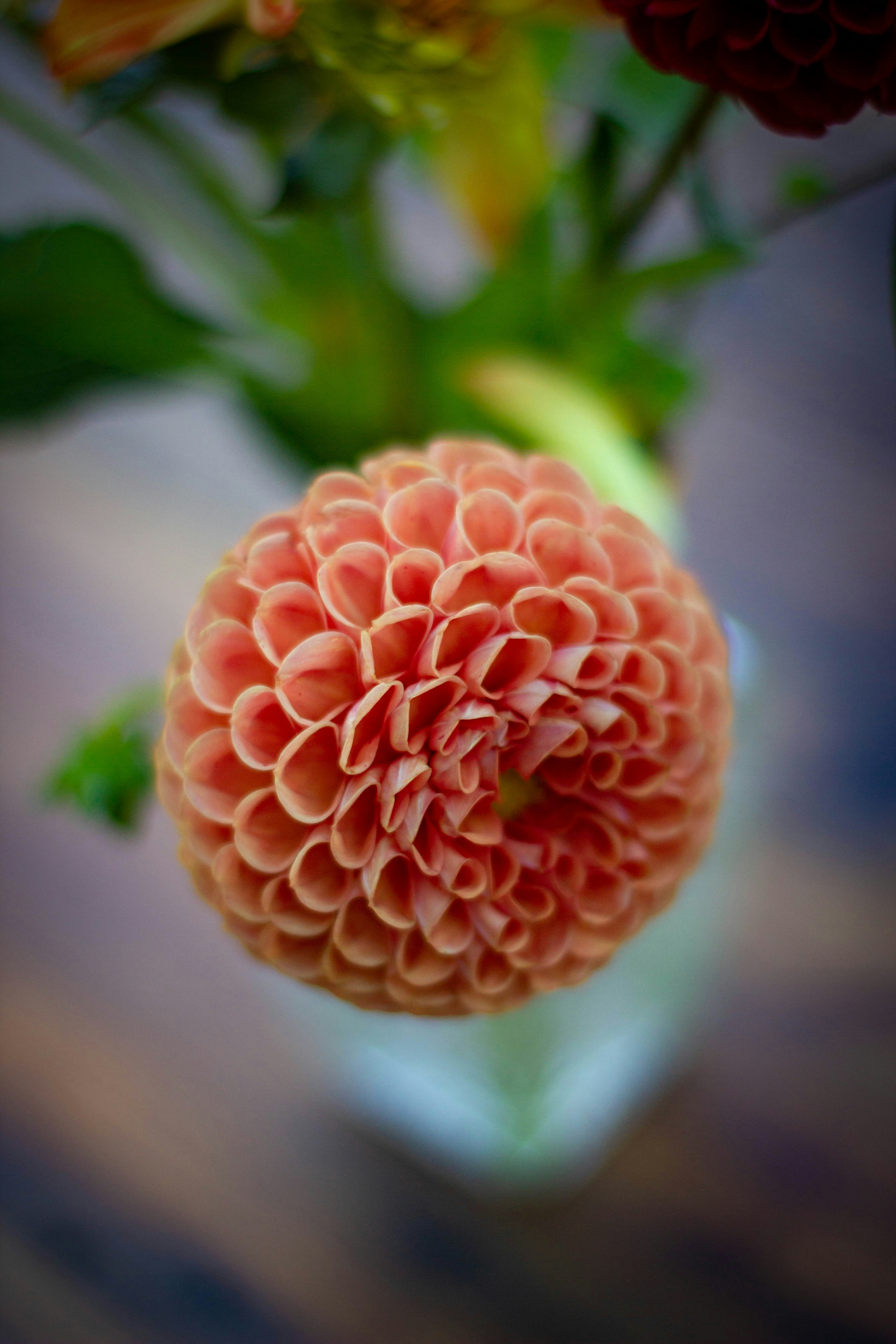 Photo by kerri_penardi