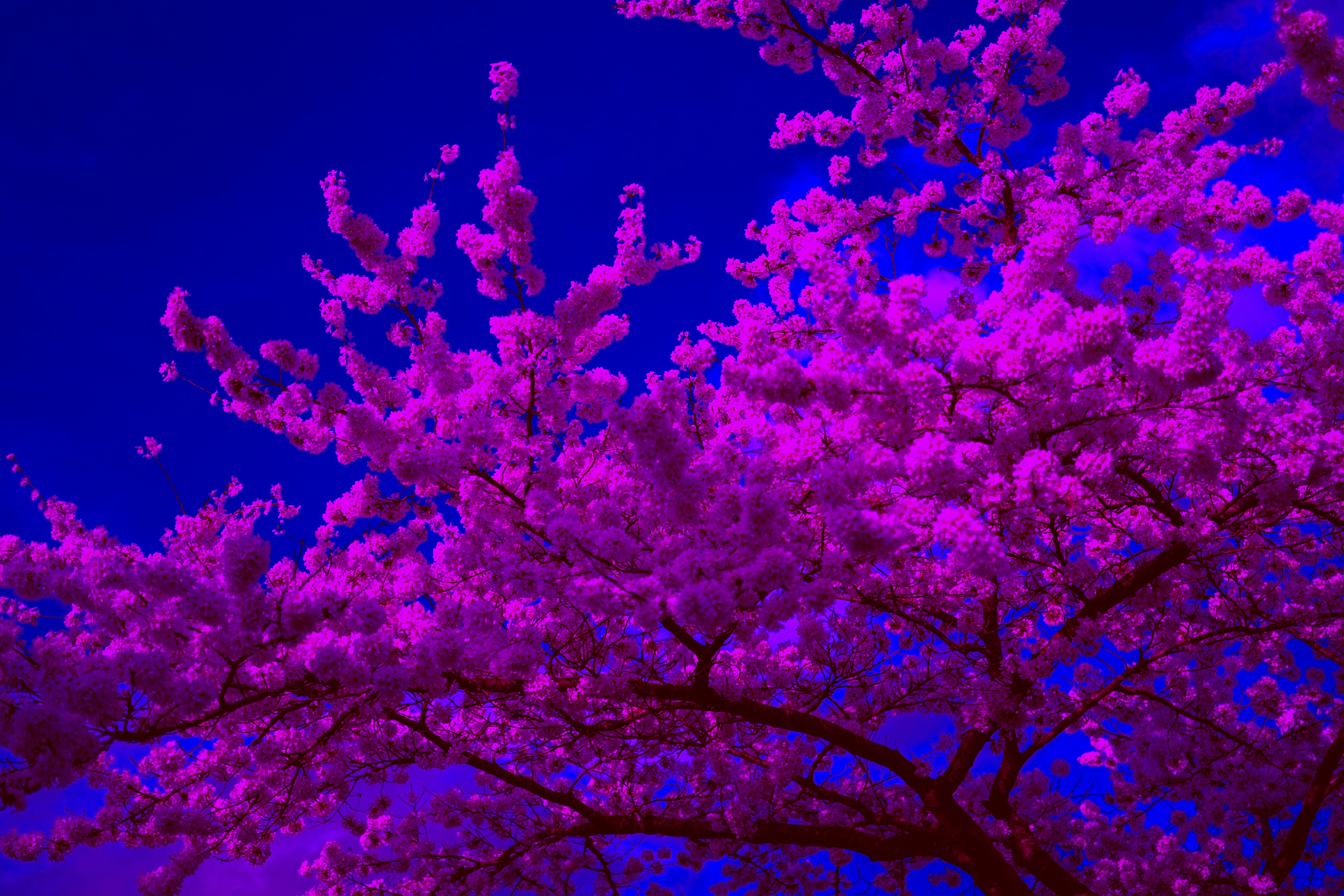 Photo by haberdoedas2