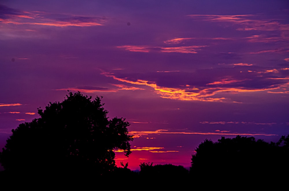 the sun is setting over the trees in the distance