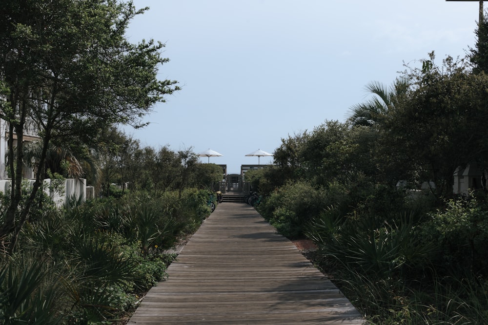 a wooden walkway leading to a beach with umbrellas