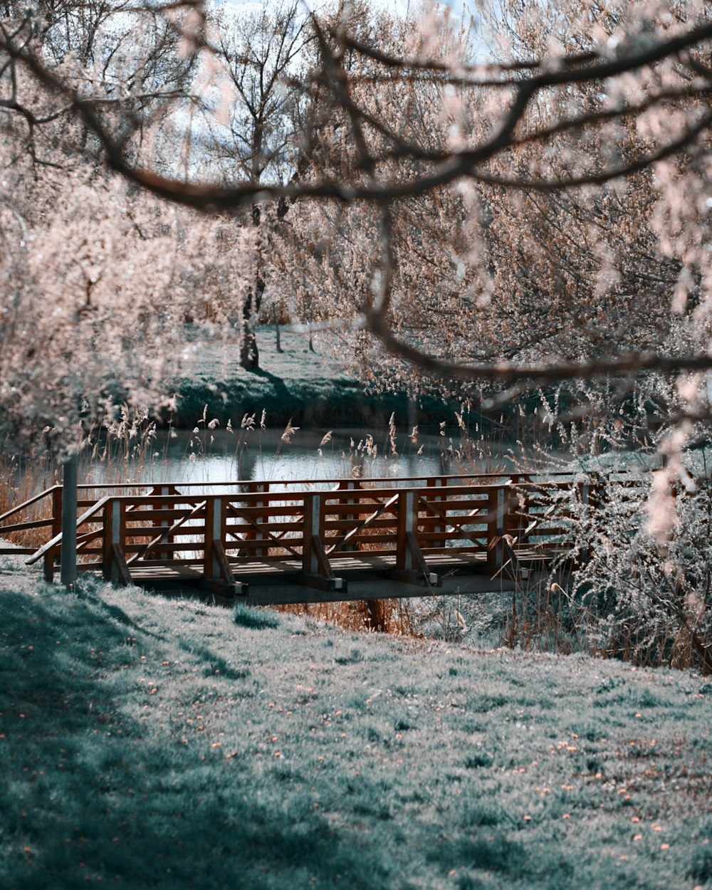 a wooden bridge over a body of water