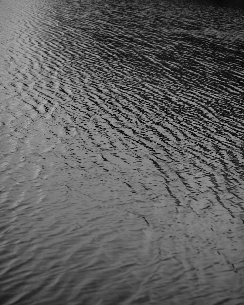 una foto in bianco e nero di uno specchio d'acqua