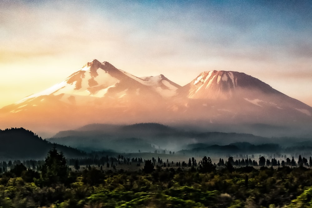 a view of a mountain with trees in the foreground