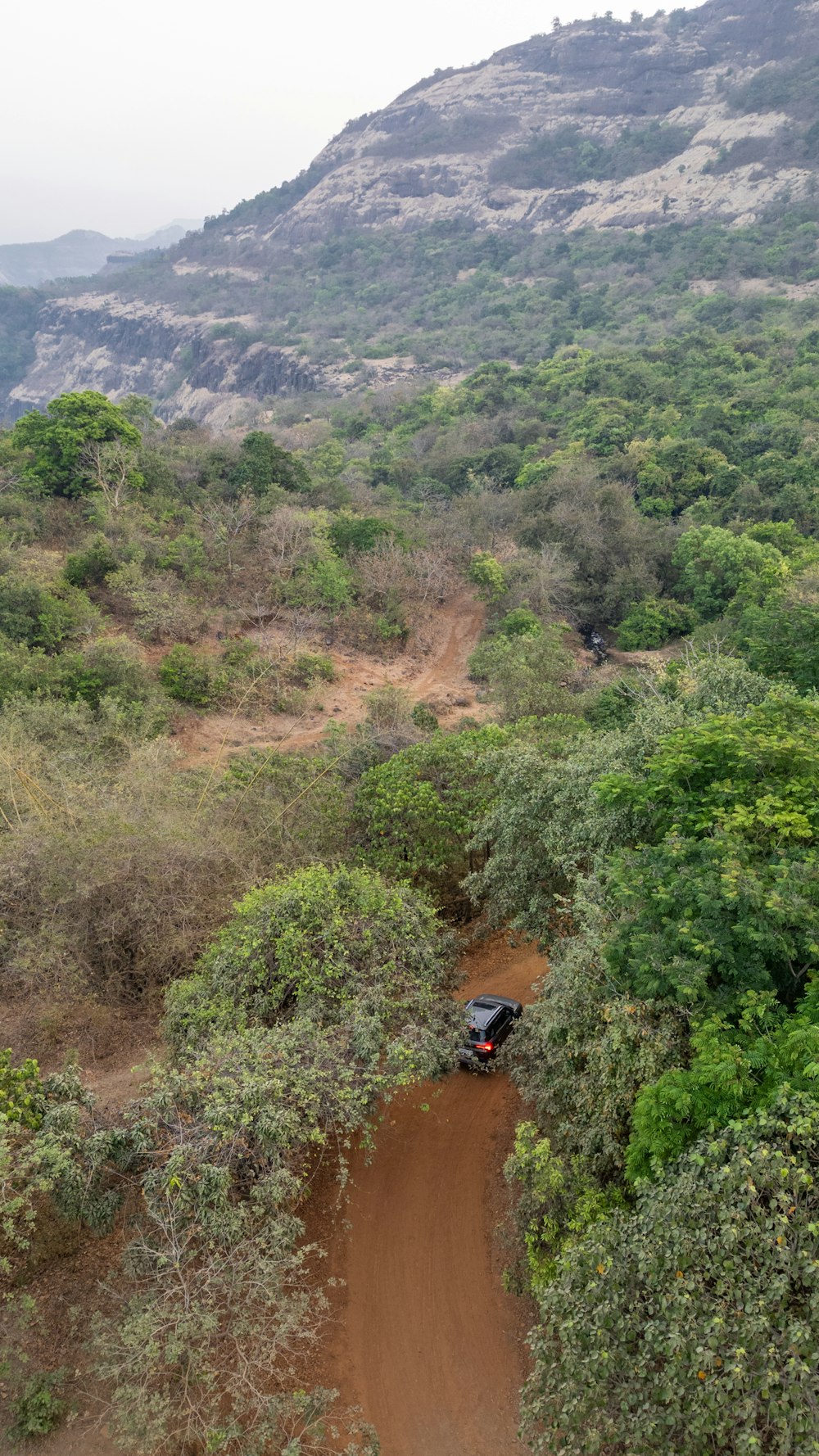 a jeep driving down a dirt road in the middle of a forest