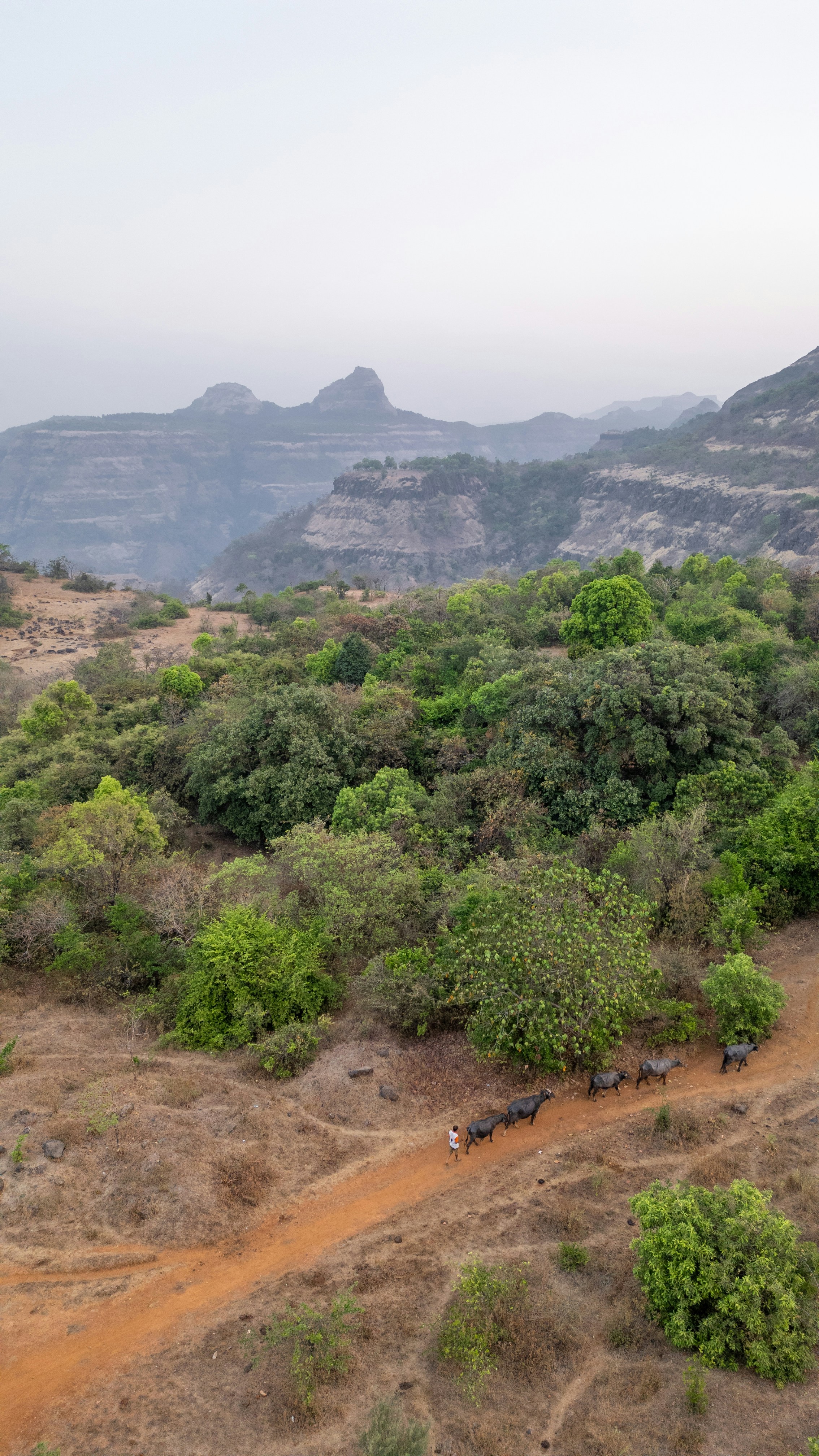 Photo by zoshuacolah