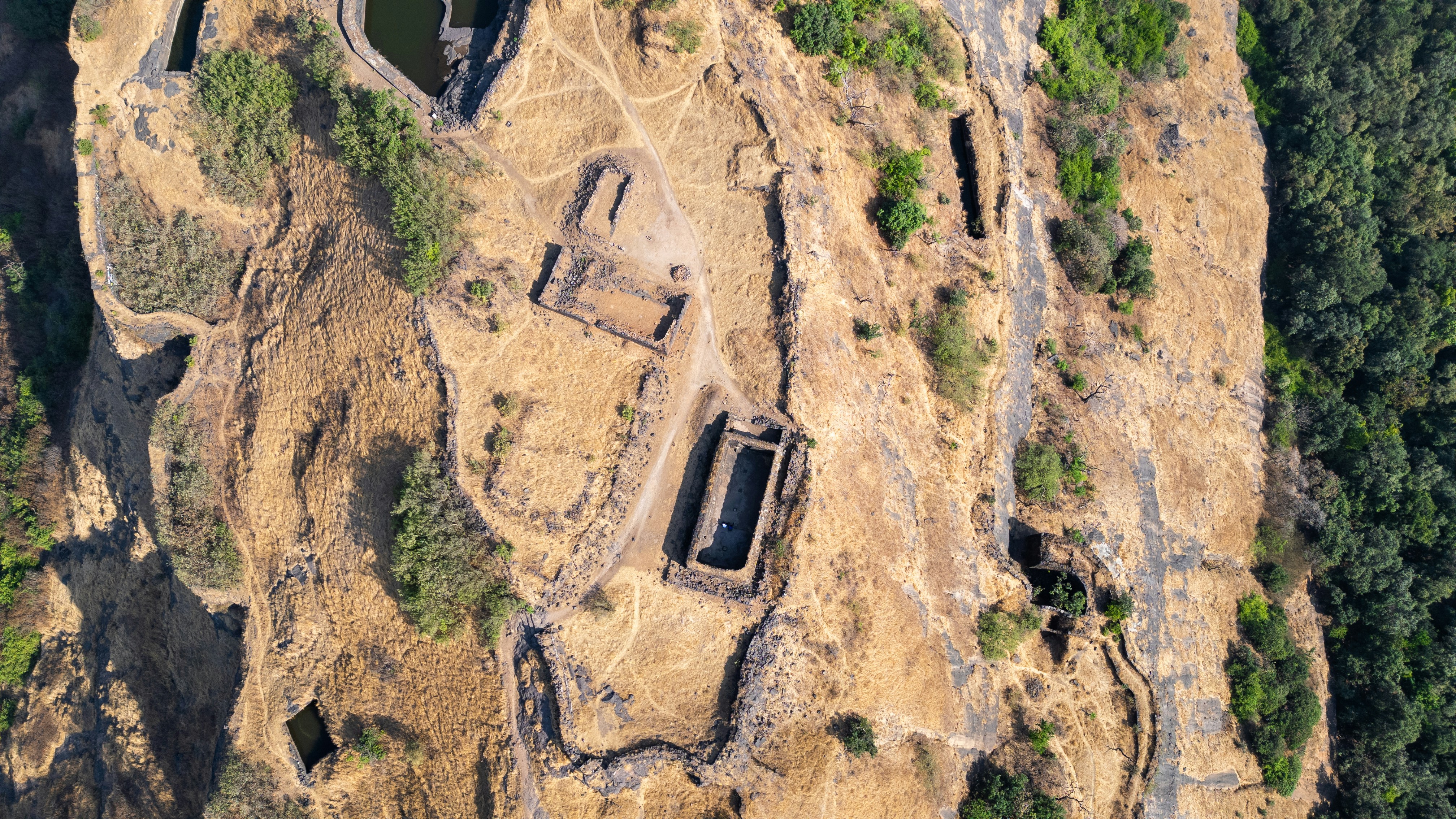 Photo by zoshuacolah