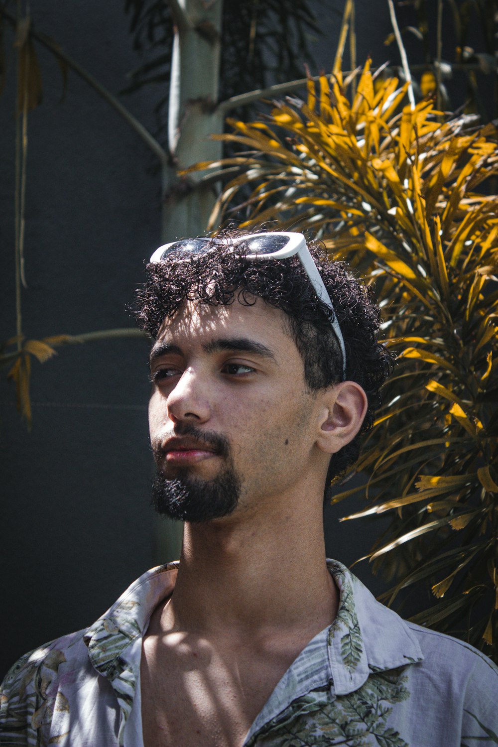 a man with a beard and sunglasses standing in front of a tree