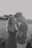 a man and a woman standing in a field
