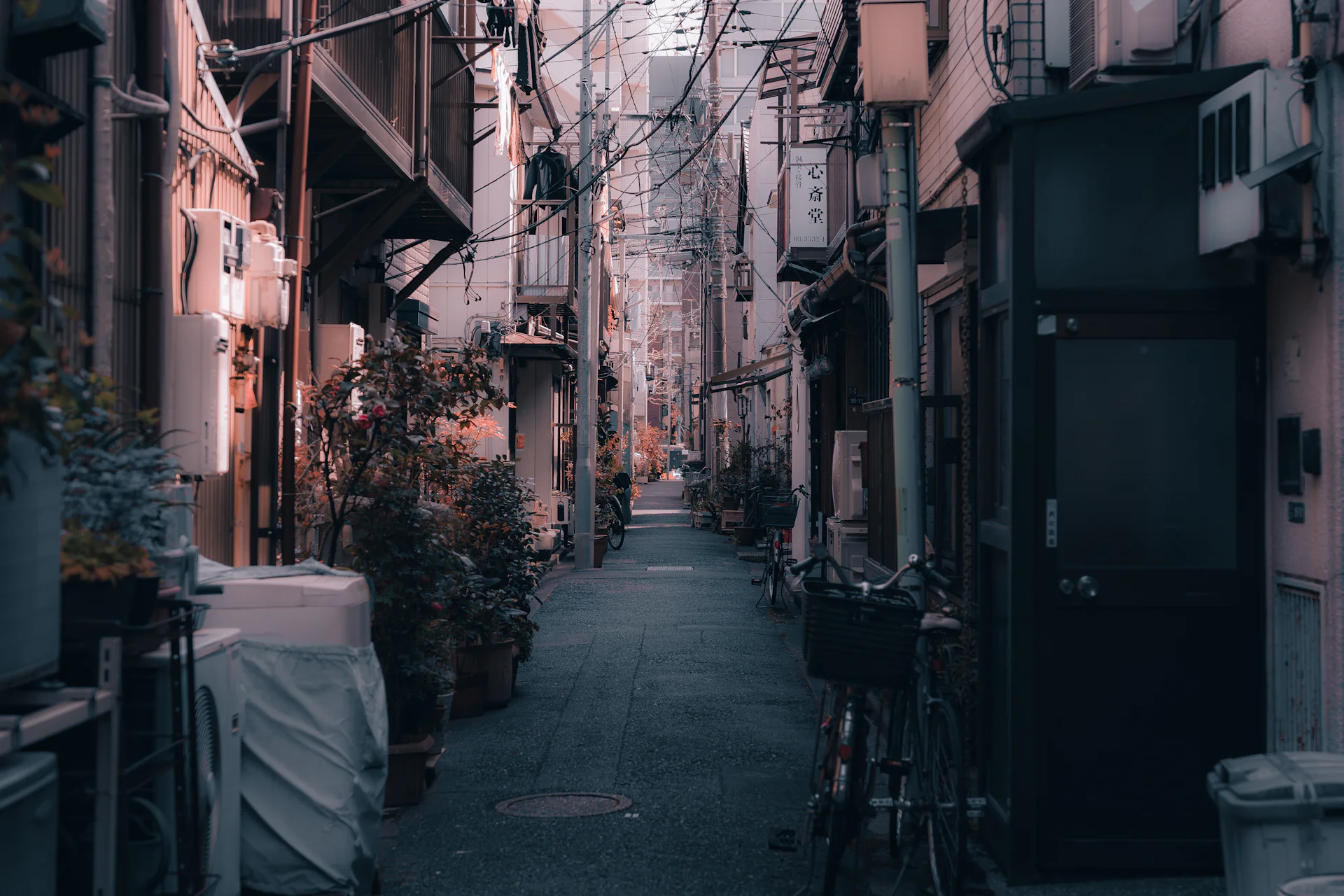 Narrow Tokyo back lane lined with potted plants and a parked bicycle