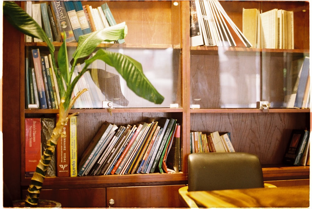 a bookshelf filled with lots of books and a plant