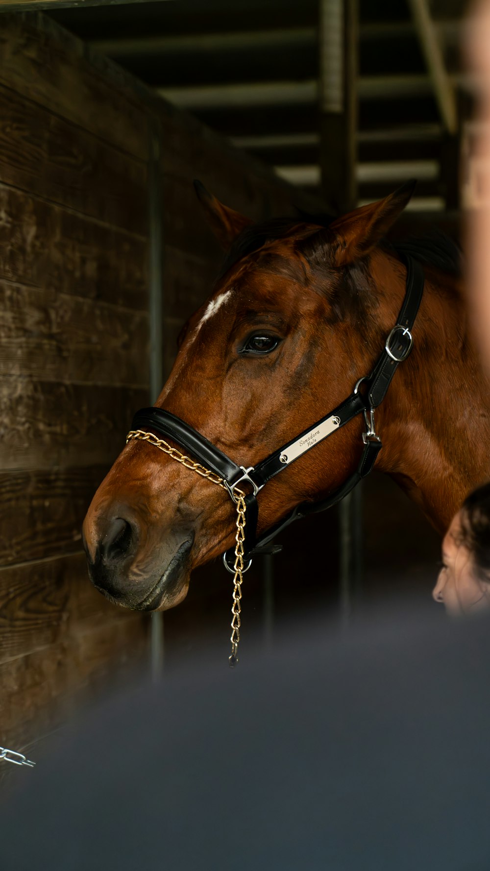 a brown horse with a black bridle in a stable