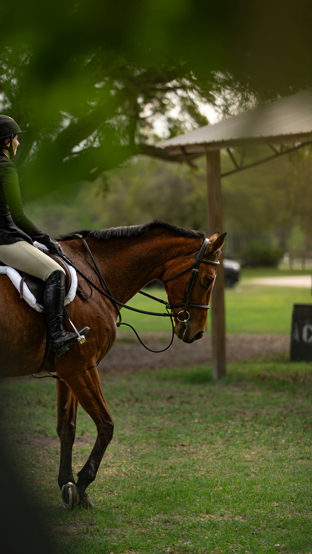 a woman riding on the back of a brown horse