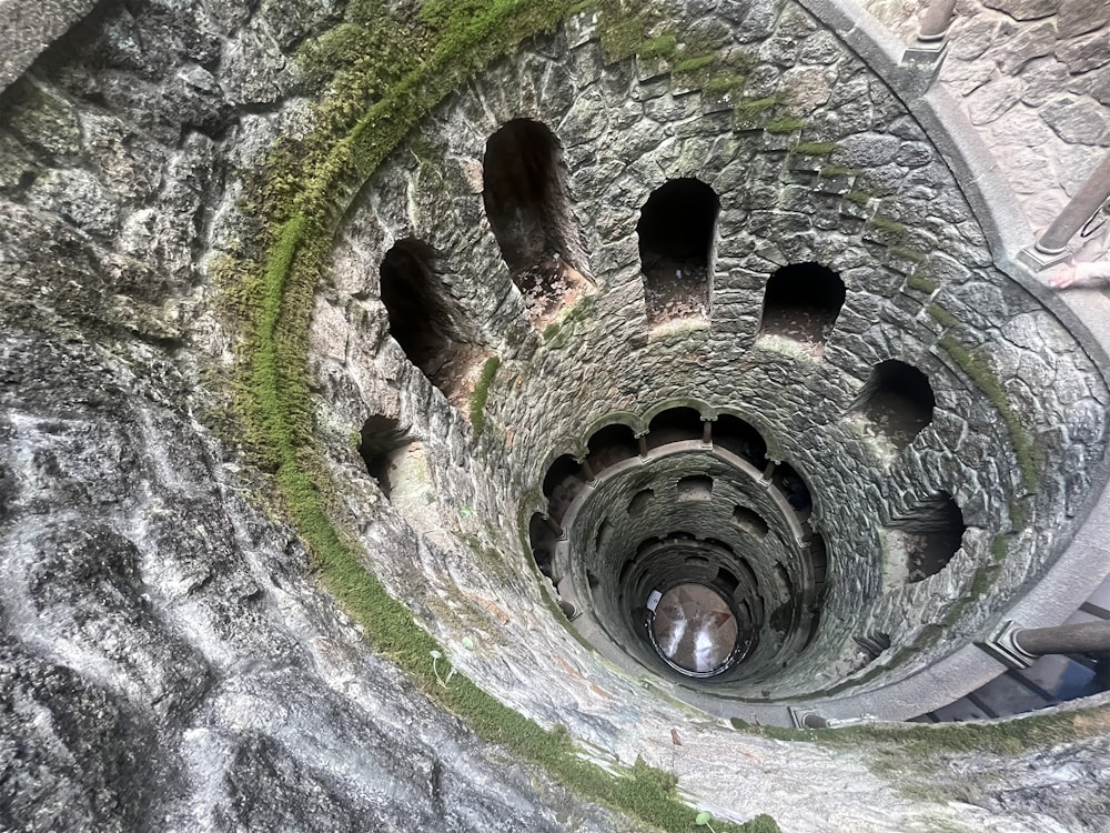 a spiral stone staircase with moss growing on it