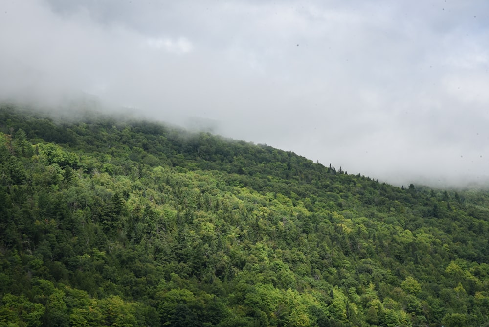 a lush green hillside covered in clouds and trees