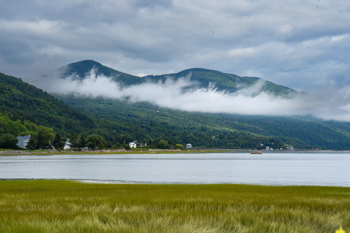 Forested mountains with low cloud above the shore of the St. Lawrence at Petite-Rivière-Saint-François, with marsh grass in front
