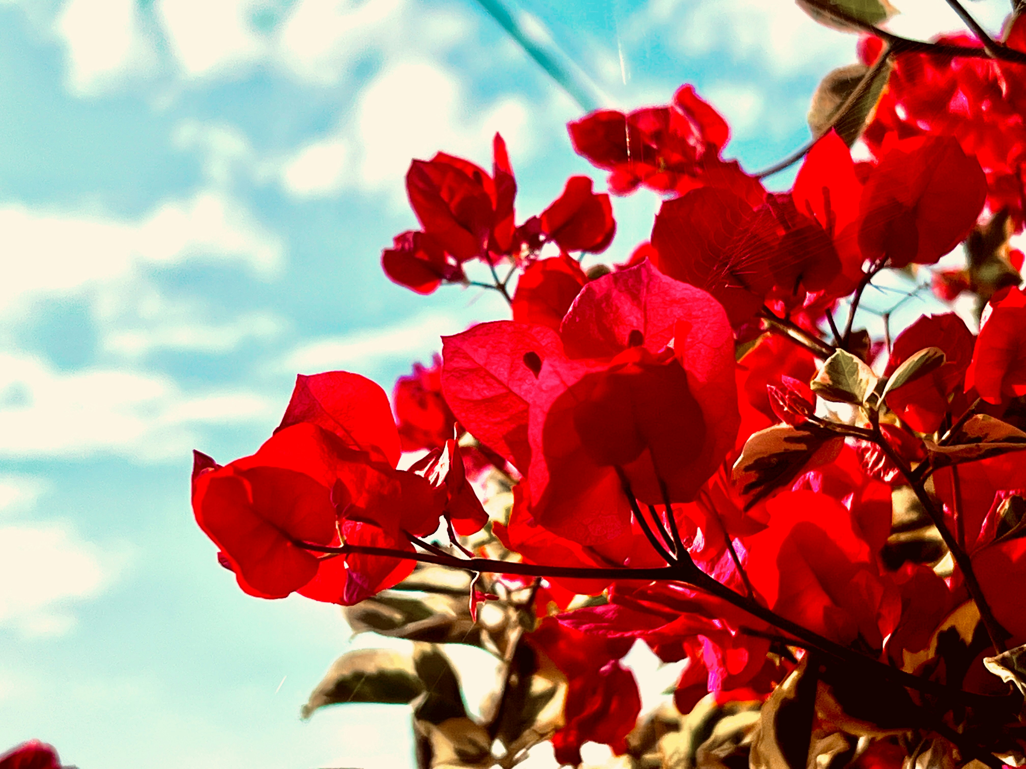 Photo by thanhliem178