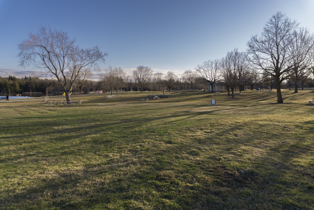 a grassy field with trees and benches in the distance