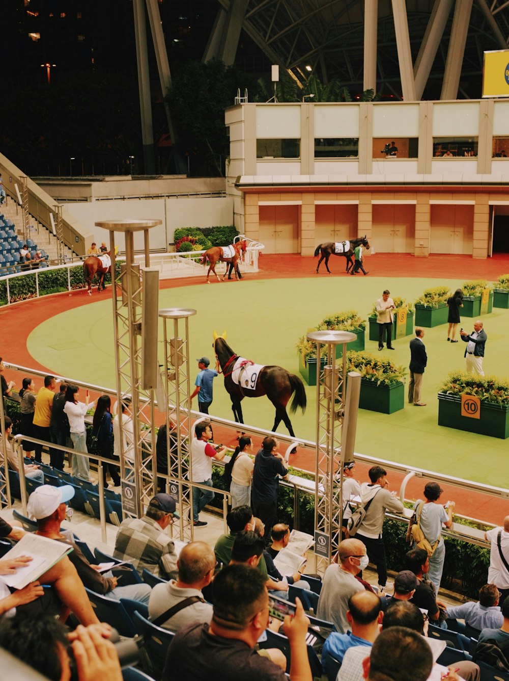 a horse is being ridden by a crowd of people