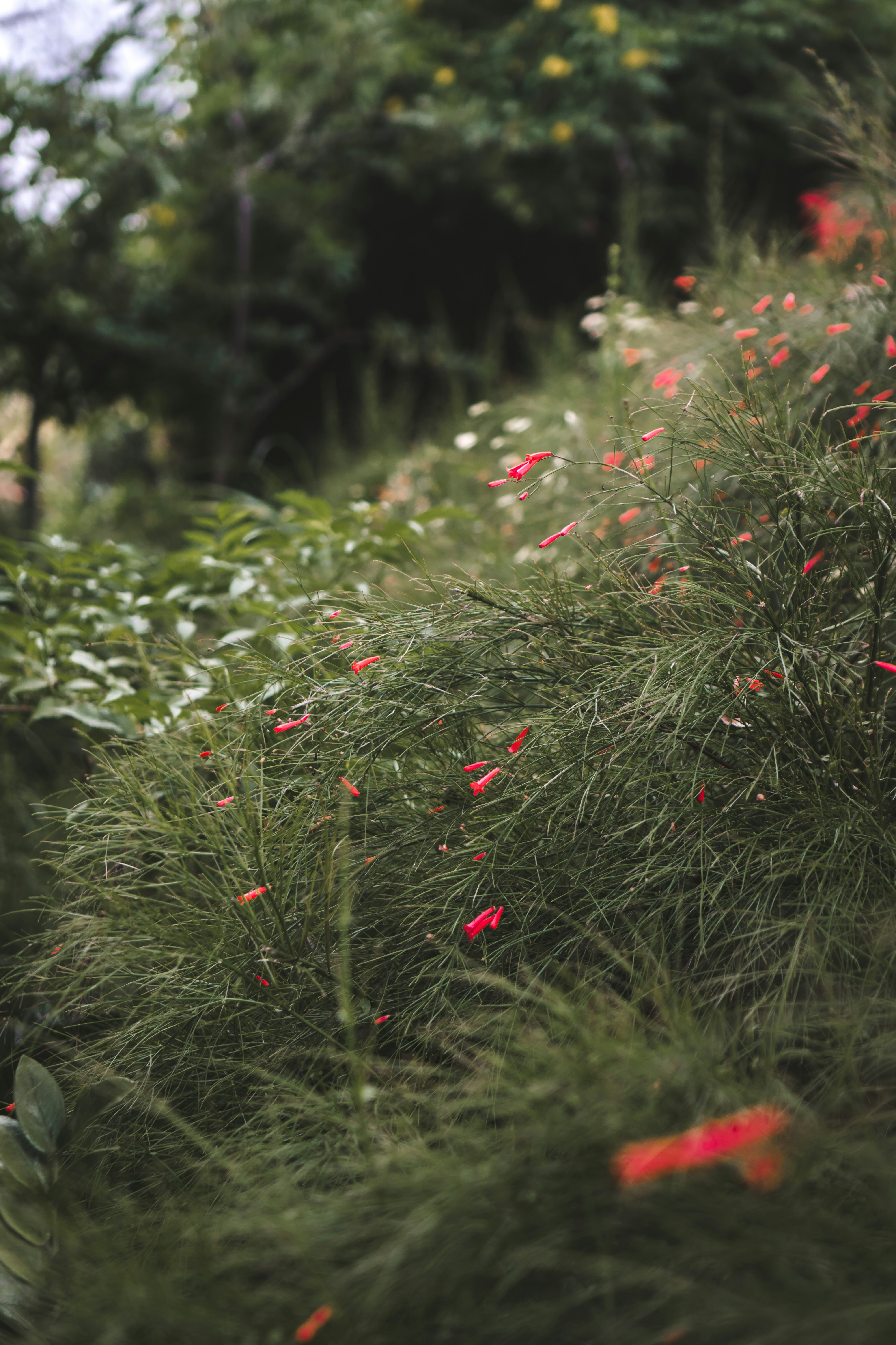 Photo by p_kuzovkova