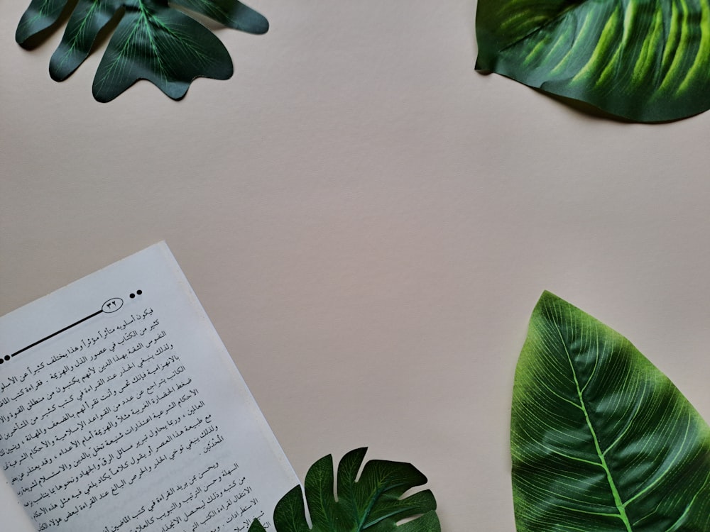 a close up of a book on a table with leaves