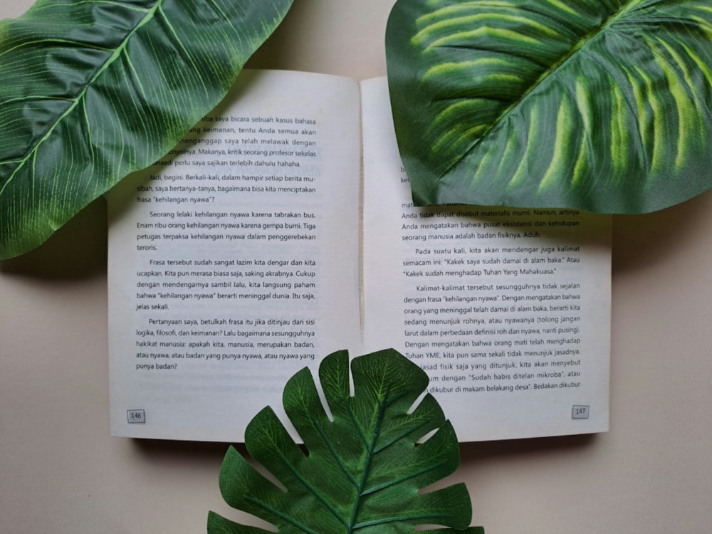 a book with a green leaf on top of it