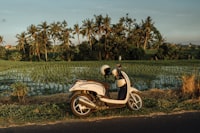 Scooter parked beside a rice paddy along a Balinese roadside