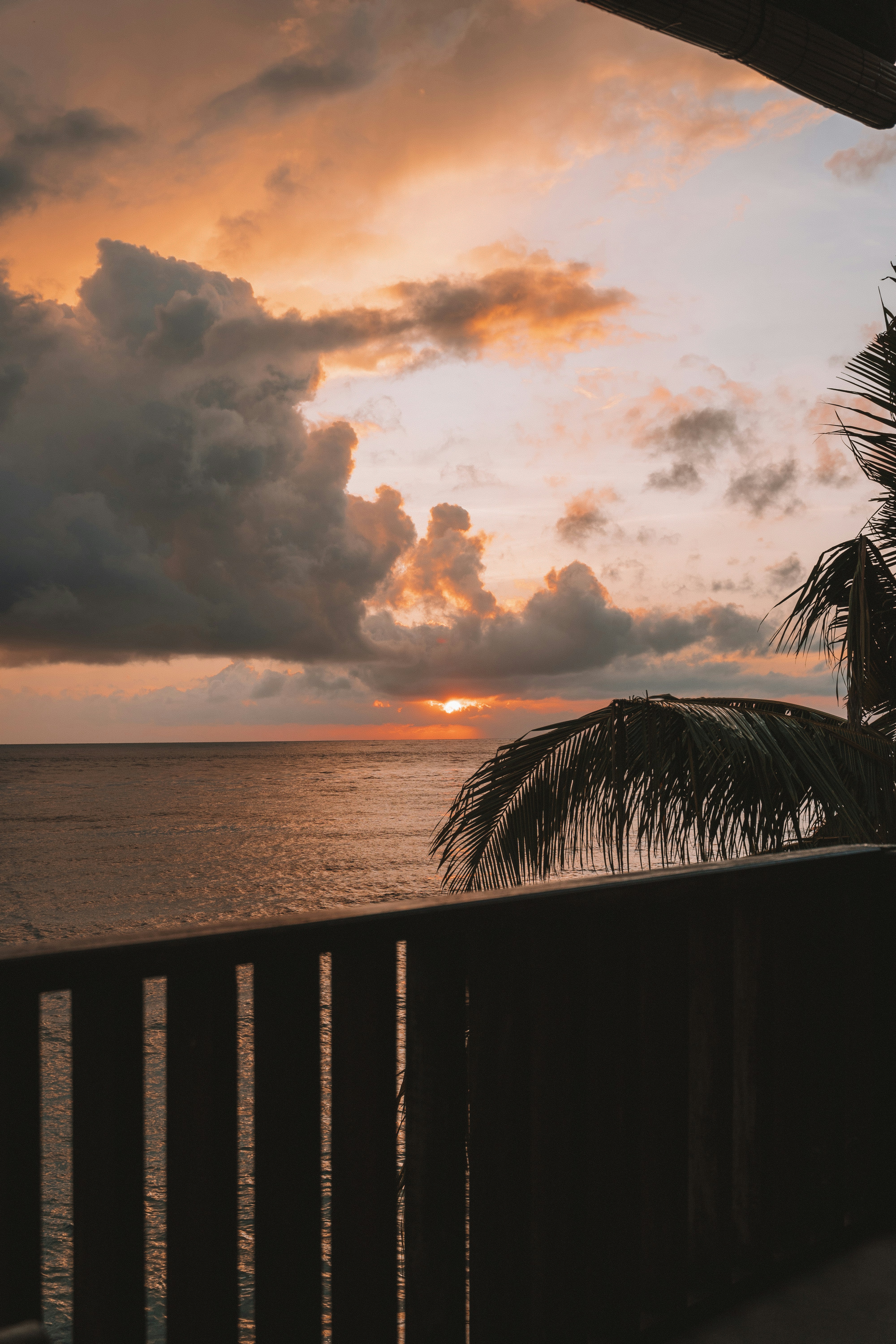 Photo by p_kuzovkova