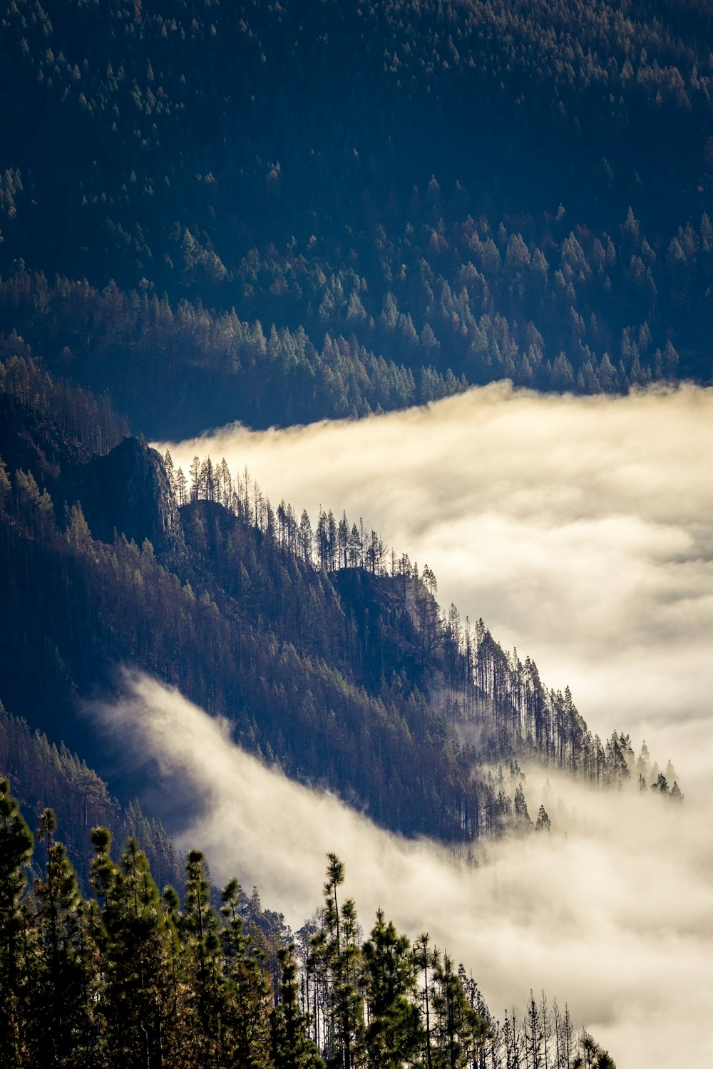 a mountain covered in fog and low lying clouds