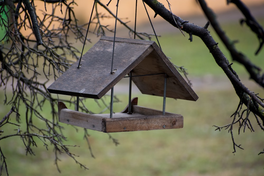 a bird feeder hanging from a tree branch