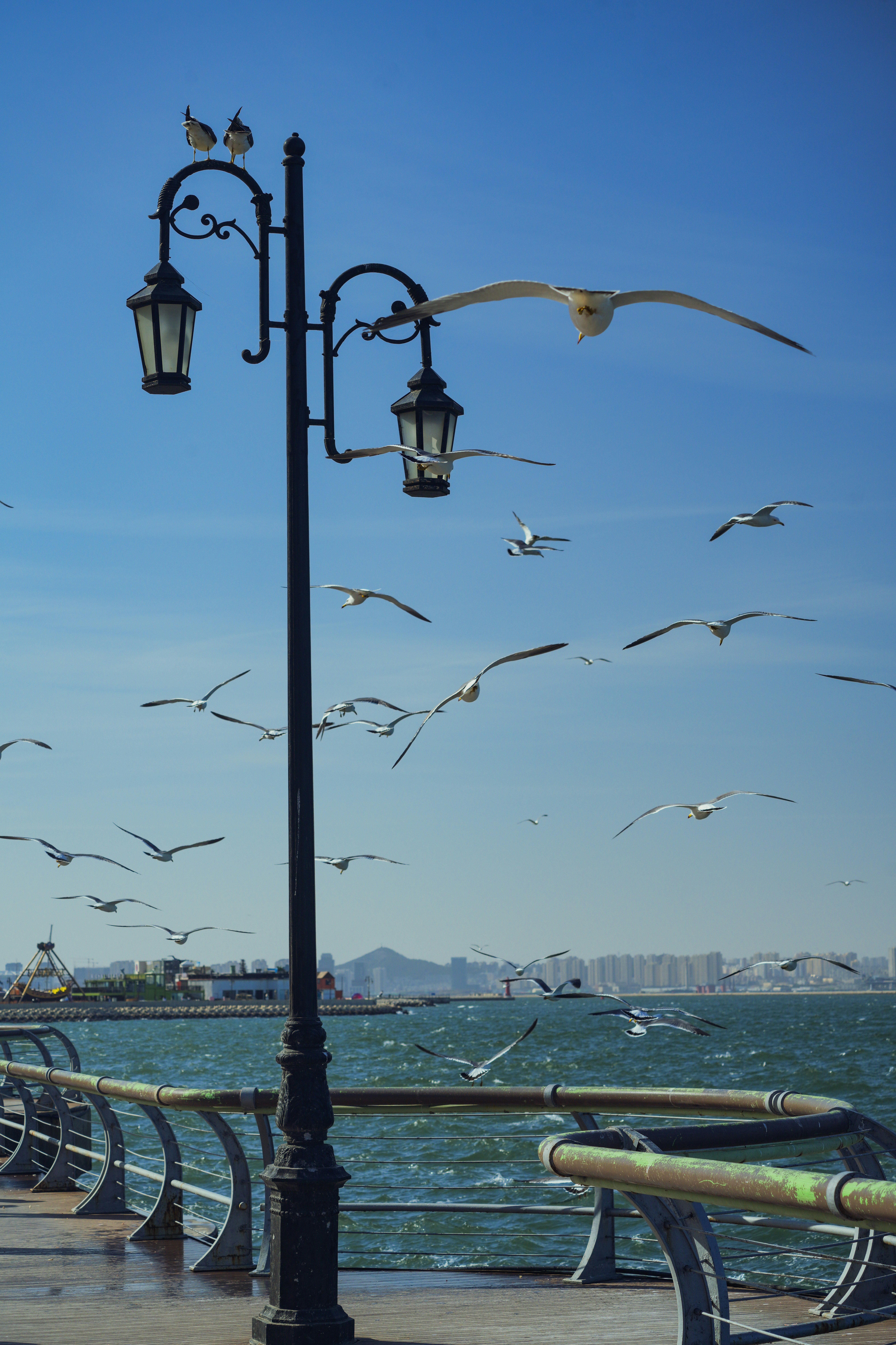 Photo by hattrick1996