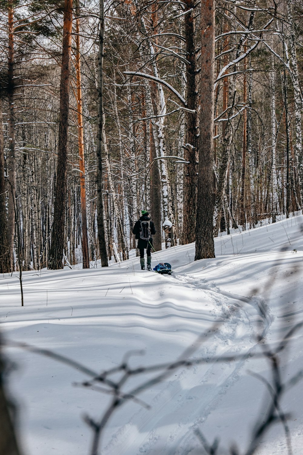a person walking in the snow in the woods