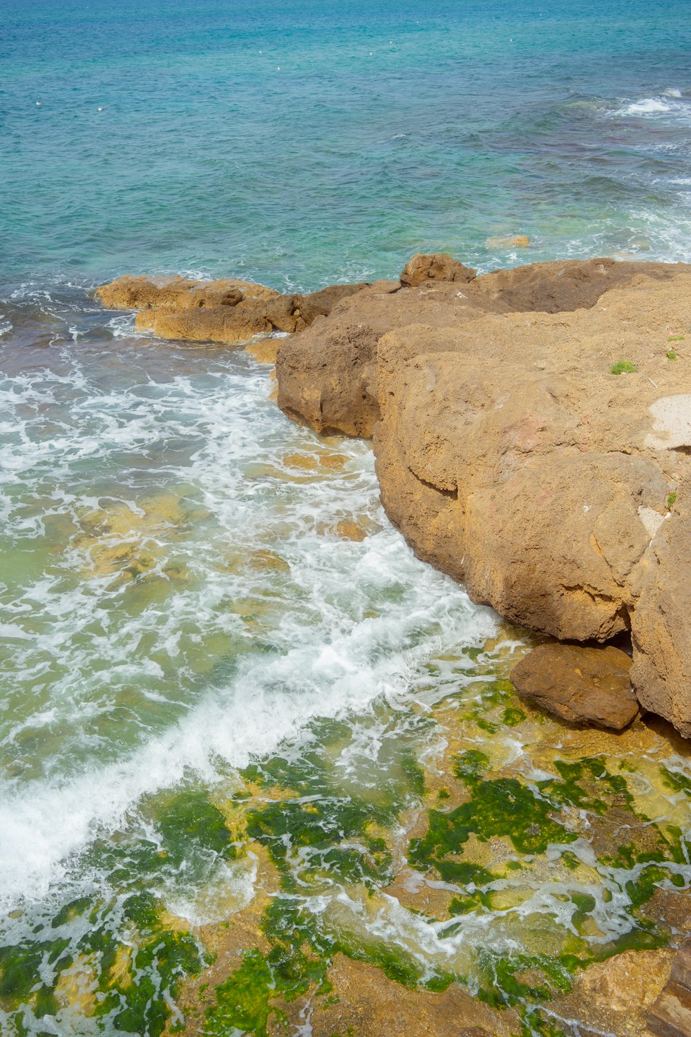 a person sitting on a rock next to the ocean