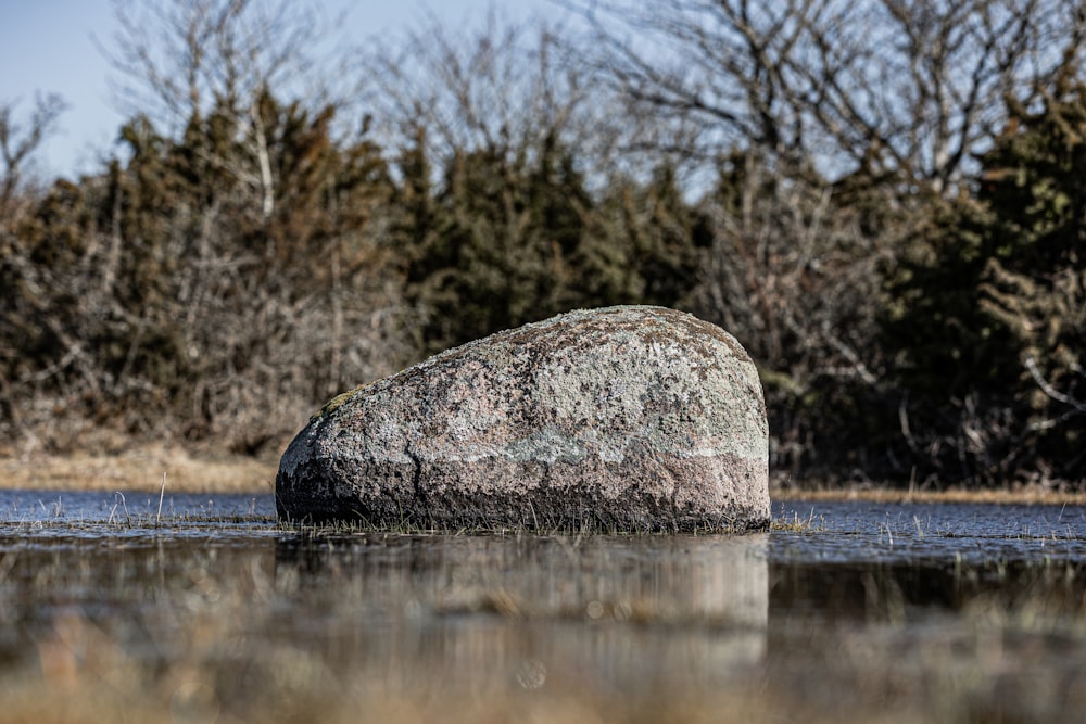 una grande roccia seduta in mezzo a un lago