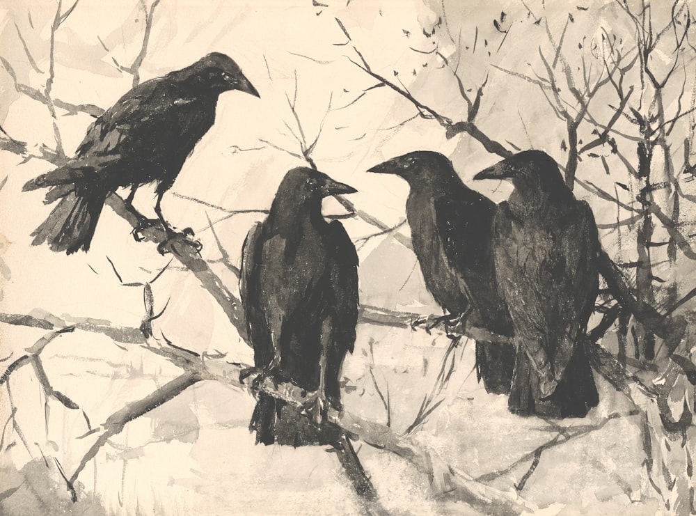 a group of black birds sitting on top of a tree branch
