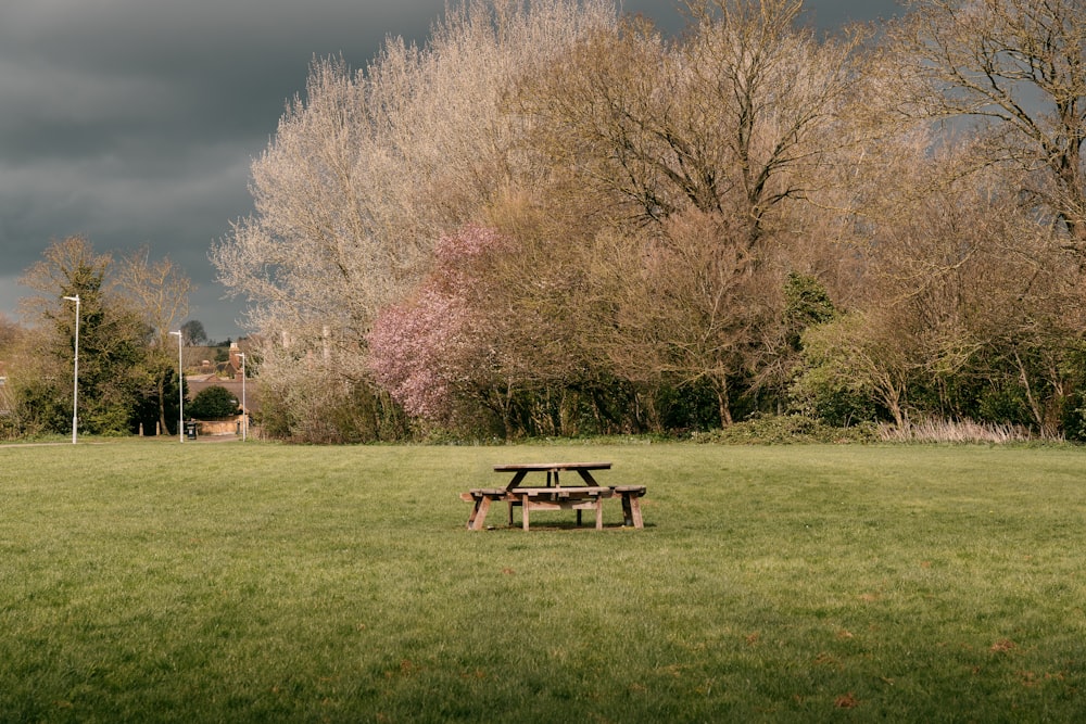 a park bench sitting in the middle of a field