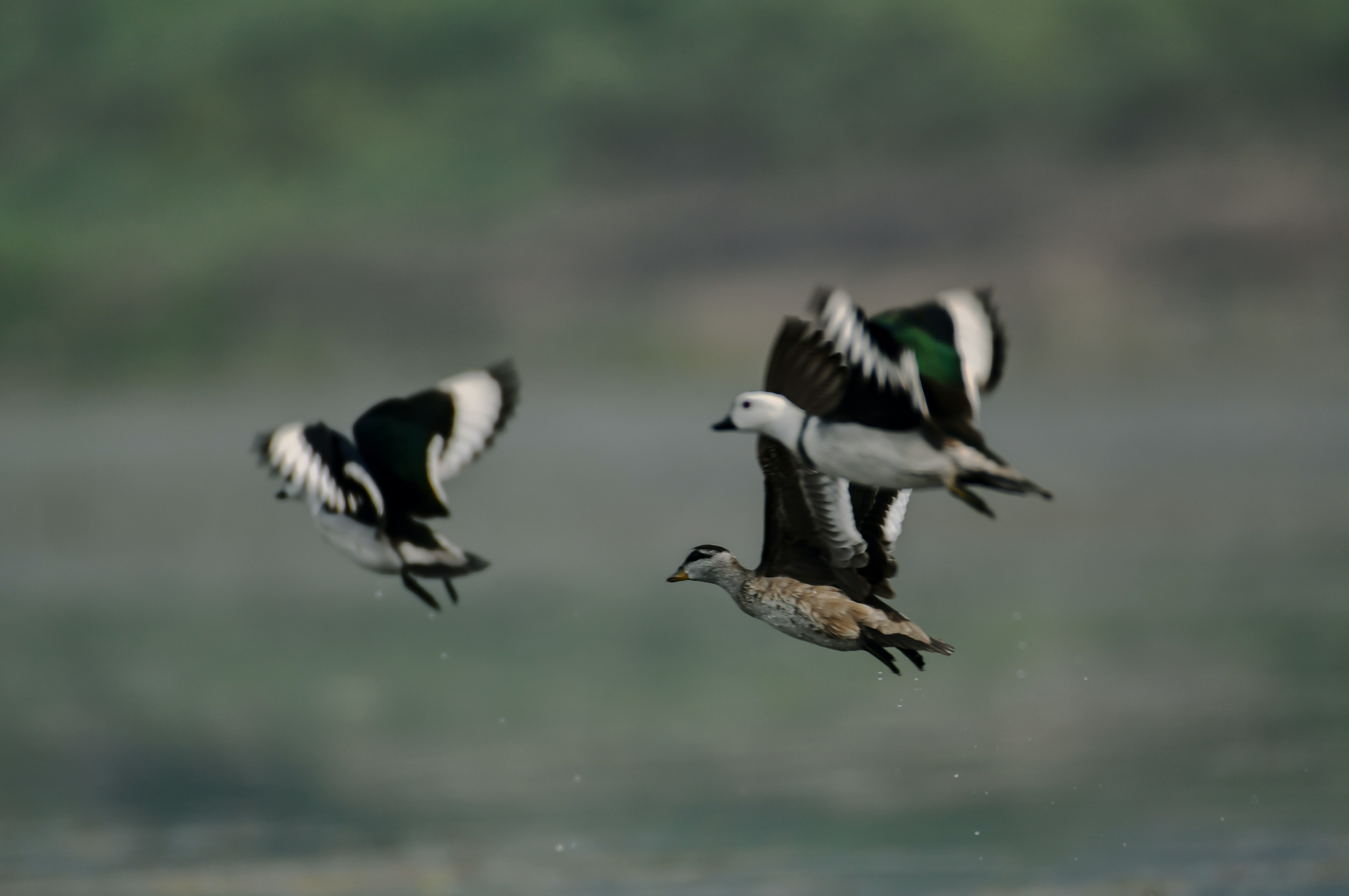 Photo by mhphotography13