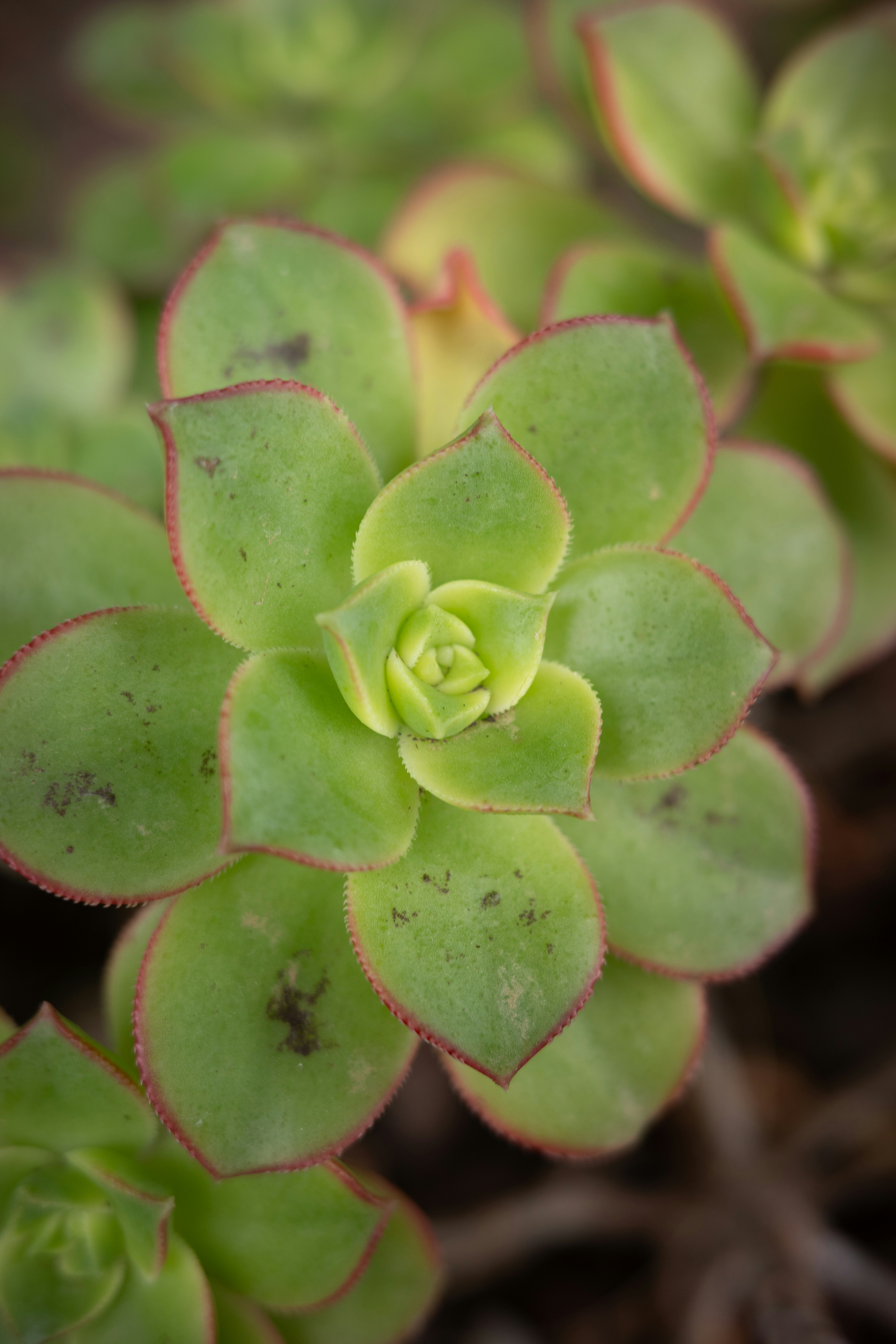 Photo by antonkhmelnitsky