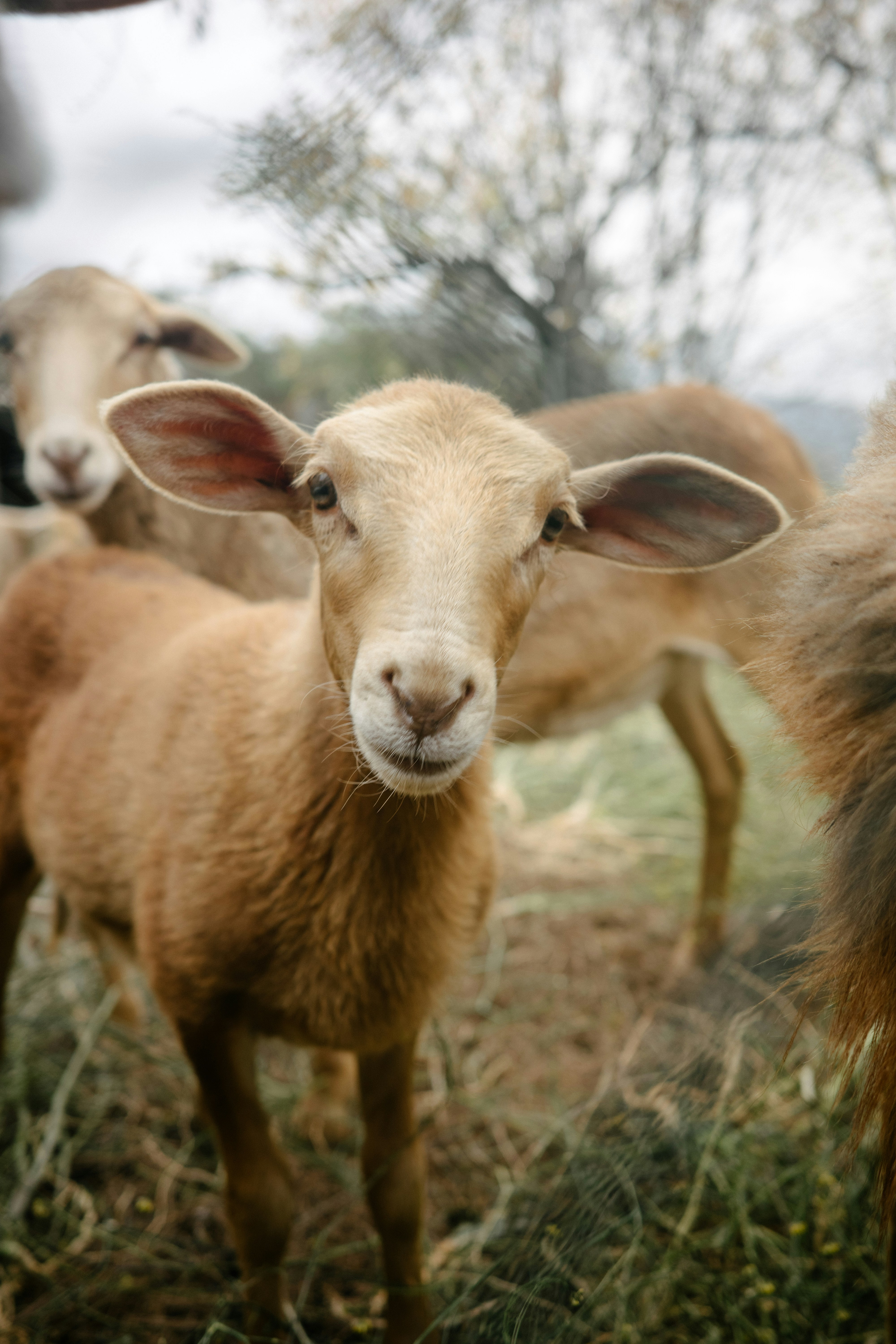 Photo by antonkhmelnitsky